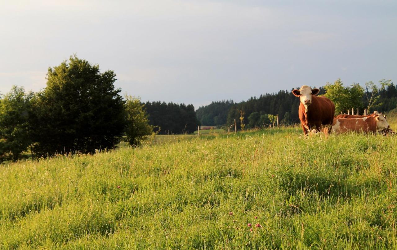 Ferienwohnung Poelzl Chieming Esterno foto